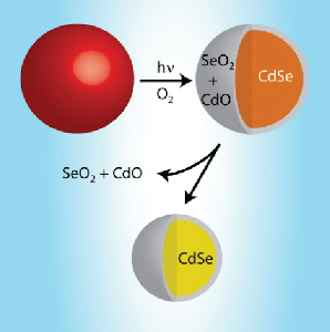 Photoinduced Surface Oxidation and Its Effect on the Exciton Dynamics of CdSe Quantum Dots
